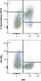 5'-Nucleotidase Ecto antibody, MA5-24204, Invitrogen Antibodies, Flow Cytometry image 