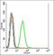 Nucleobindin 2 antibody, orb6485, Biorbyt, Flow Cytometry image 