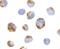 BMI1 Proto-Oncogene, Polycomb Ring Finger antibody, A00313, Boster Biological Technology, Immunocytochemistry image 