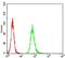 Anaphase Promoting Complex Subunit 11 antibody, NBP2-61655, Novus Biologicals, Flow Cytometry image 