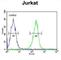 Deltex E3 Ubiquitin Ligase 1 antibody, abx034161, Abbexa, Western Blot image 