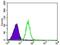 Prosaposin antibody, NBP2-37422, Novus Biologicals, Flow Cytometry image 