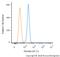 Baculoviral IAP Repeat Containing 5 antibody, NB500-205, Novus Biologicals, Flow Cytometry image 