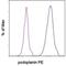 Podoplanin antibody, 12-5381-82, Invitrogen Antibodies, Flow Cytometry image 