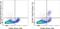 CD163 antibody, 46-1631-80, Invitrogen Antibodies, Flow Cytometry image 