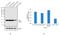 Superoxide Dismutase 1 antibody, MA1-105, Invitrogen Antibodies, Western Blot image 