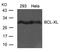BCL2 Like 1 antibody, 79-525, ProSci, Western Blot image 