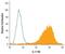 Interleukin 17 Receptor D antibody, PA5-47287, Invitrogen Antibodies, Flow Cytometry image 