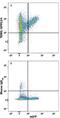 Adhesion G Protein-Coupled Receptor A2 antibody, MAB8896, R&D Systems, Flow Cytometry image 