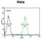 Ubiquitin A-52 Residue Ribosomal Protein Fusion Product 1 antibody, abx025620, Abbexa, Flow Cytometry image 