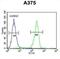 Lumican antibody, abx033511, Abbexa, Flow Cytometry image 