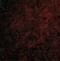C1q And TNF Related 6 antibody, NBP1-76633, Novus Biologicals, Immunofluorescence image 
