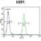 Antagonist Of Mitotic Exit Network 1 Homolog antibody, abx025977, Abbexa, Western Blot image 