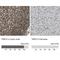 Lamina-associated polypeptide 2, isoforms beta/gamma antibody, NBP1-87822, Novus Biologicals, Immunohistochemistry paraffin image 