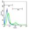 Paired Box 8 antibody, orb11241, Biorbyt, Flow Cytometry image 