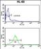 Helicase Like Transcription Factor antibody, PA5-72472, Invitrogen Antibodies, Flow Cytometry image 