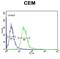 EDIL3 antibody, abx034193, Abbexa, Flow Cytometry image 