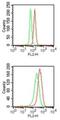 Spi-1 Proto-Oncogene antibody, NBP2-27163, Novus Biologicals, Flow Cytometry image 