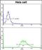 Leiomodin 1 antibody, PA5-49616, Invitrogen Antibodies, Flow Cytometry image 