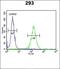 N-Myristoyltransferase 2 antibody, orb247761, Biorbyt, Flow Cytometry image 