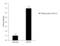 SET And MYND Domain Containing 3 antibody, PA5-31919, Invitrogen Antibodies, Chromatin Immunoprecipitation image 