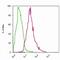 RELB Proto-Oncogene, NF-KB Subunit antibody, 437500, Invitrogen Antibodies, Flow Cytometry image 