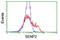 SUMO Specific Peptidase 2 antibody, TA800127, Origene, Flow Cytometry image 