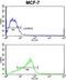 ADAM Metallopeptidase Domain 9 antibody, GTX81448, GeneTex, Flow Cytometry image 