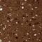 Reticulon 3 antibody, HPA015650, Atlas Antibodies, Immunohistochemistry frozen image 