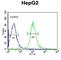 Microsomal Glutathione S-Transferase 2 antibody, abx034139, Abbexa, Western Blot image 