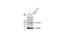 Ubiquinol-Cytochrome C Reductase Core Protein 1 antibody, GTX630393, GeneTex, Western Blot image 