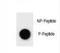 Unc-51 Like Autophagy Activating Kinase 1 antibody, LS-C157019, Lifespan Biosciences, Dot Blot image 