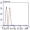 Cell Division Cycle 34 antibody, NBP2-67835, Novus Biologicals, Flow Cytometry image 