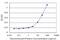 LIM Homeobox 5 antibody, H00064211-M10, Novus Biologicals, Enzyme Linked Immunosorbent Assay image 