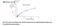 Nucleolar Protein Interacting With The FHA Domain Of MKI67 antibody, MBS2608414, MyBioSource, Enzyme Linked Immunosorbent Assay image 