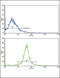 Adiponectin Receptor 1 antibody, 63-559, ProSci, Immunofluorescence image 