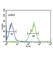 Mitogen-Activated Protein Kinase Kinase Kinase Kinase 3 antibody, abx034546, Abbexa, Western Blot image 