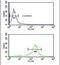 CACN Subunit Beta Associated Regulatory Protein antibody, PA5-26282, Invitrogen Antibodies, Flow Cytometry image 