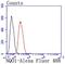 NAD(P)H Quinone Dehydrogenase 1 antibody, NBP2-66990, Novus Biologicals, Flow Cytometry image 