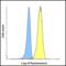 T Cell Immunoreceptor With Ig And ITIM Domains antibody, RF16055, ProSci, Flow Cytometry image 