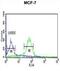 WD Repeat Domain 37 antibody, abx034294, Abbexa, Flow Cytometry image 