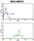 BCL2 Related Protein A1 antibody, abx027146, Abbexa, Western Blot image 