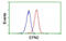 Epsin 2 antibody, MBS834078, MyBioSource, Flow Cytometry image 