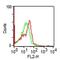 Neural Cell Adhesion Molecule 1 antibody, GTX34891, GeneTex, Flow Cytometry image 