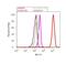 Protein Tyrosine Kinase 2 antibody, 44-650G, Invitrogen Antibodies, Flow Cytometry image 