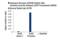 Androgen Receptor antibody, 82055S, Cell Signaling Technology, Chromatin Immunoprecipitation image 