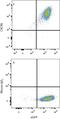 C-X-C Motif Chemokine Receptor 6 antibody, MAB8196, R&D Systems, Flow Cytometry image 