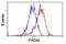 Peptidyl Arginine Deiminase 4 antibody, NBP2-02082, Novus Biologicals, Flow Cytometry image 