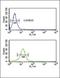 Collagen Type V Alpha 2 Chain antibody, GTX81507, GeneTex, Flow Cytometry image 