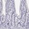 Keratin-associated protein 16-1 antibody, PA5-67136, Invitrogen Antibodies, Immunohistochemistry frozen image 